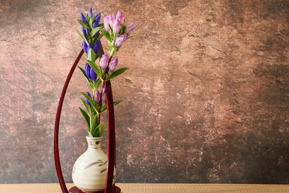 日本の部屋の酒瓶に入ったゲンチアン。