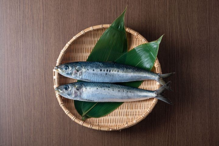日本の竹のネリに新鮮な生のイワシ