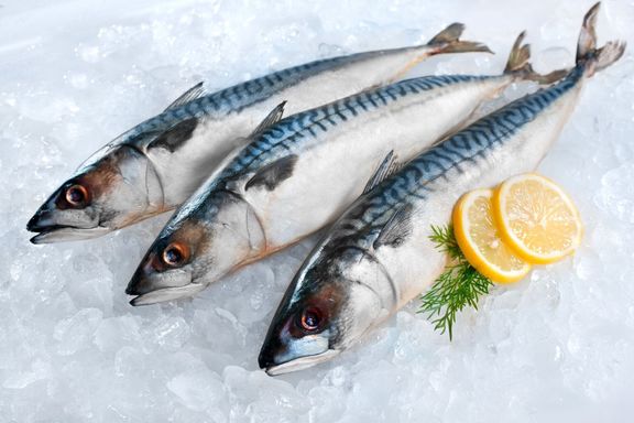 サバ魚の氷