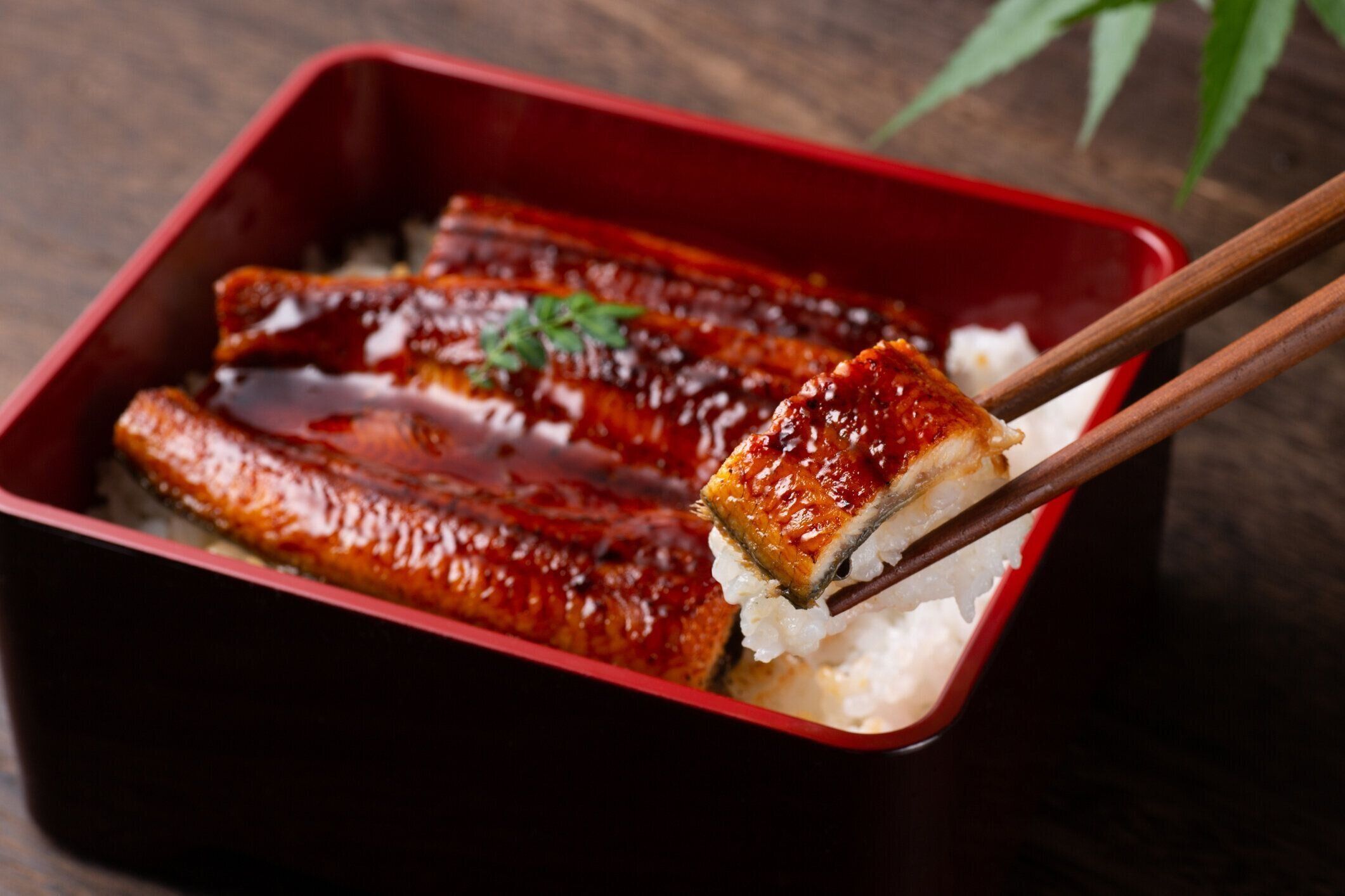 お米丼にうなぎをトッピング