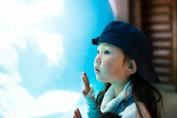 小さな女の子見て水族館