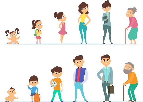 男性および女性のライフ サイクル。若者と高齢者の異なる文字