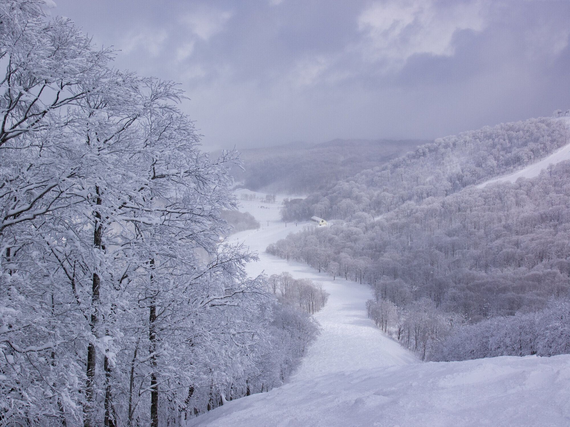スノーワールド イン グランデコ スカイ リゾート