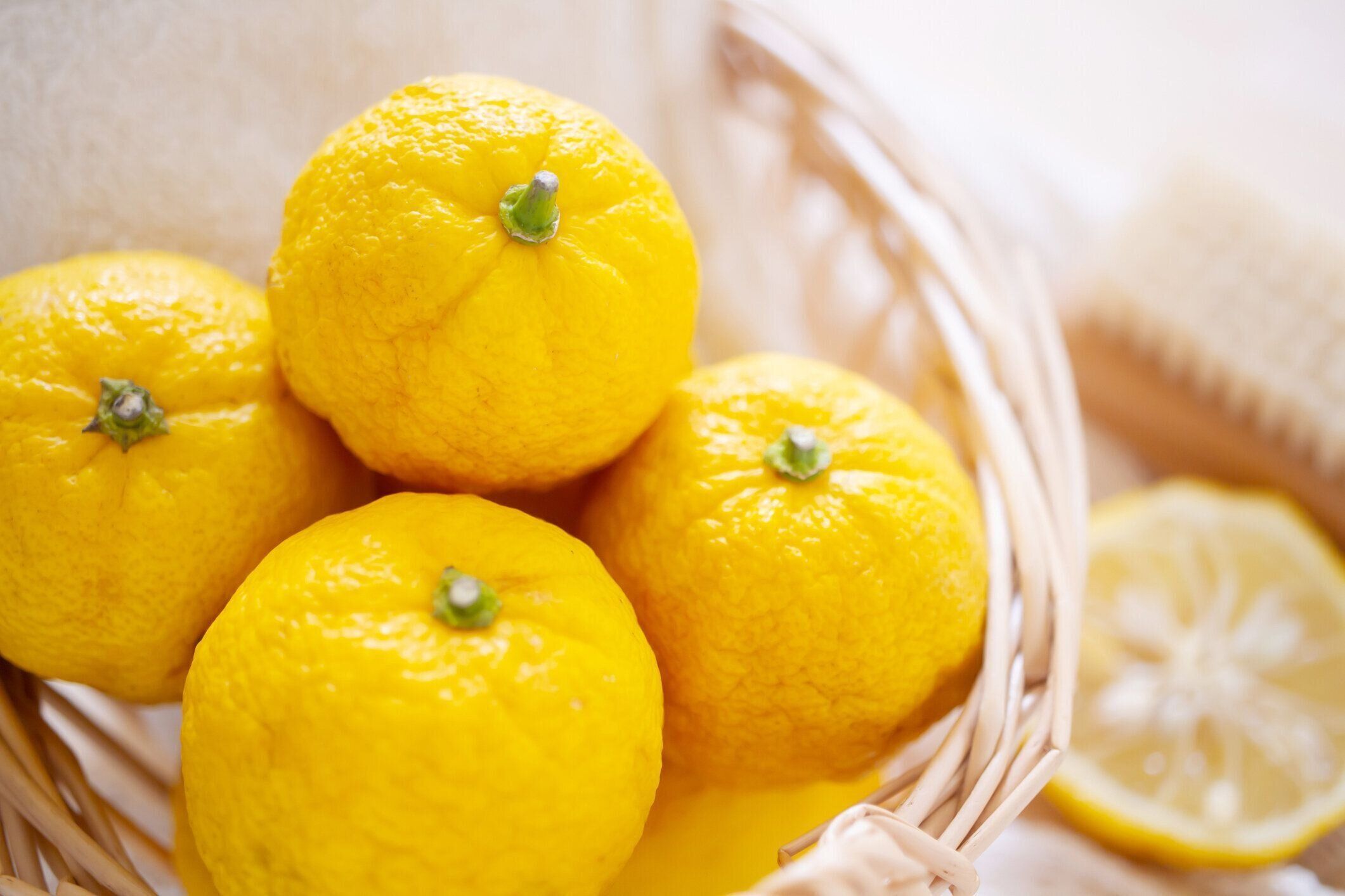 シトロン。日本のゆず。