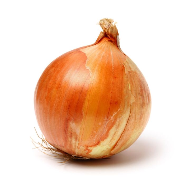 金玉ねぎ野菜球根