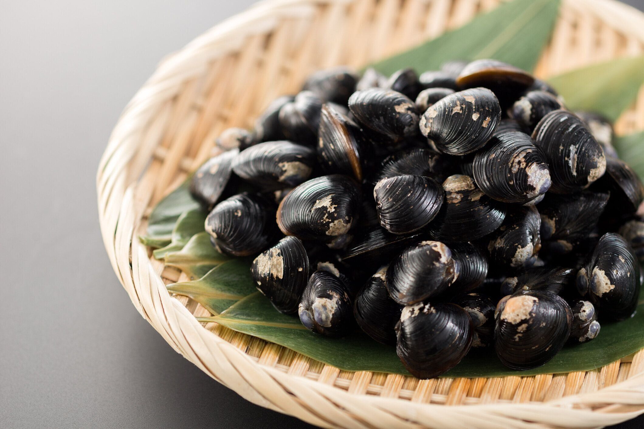 シジミハマグリ。