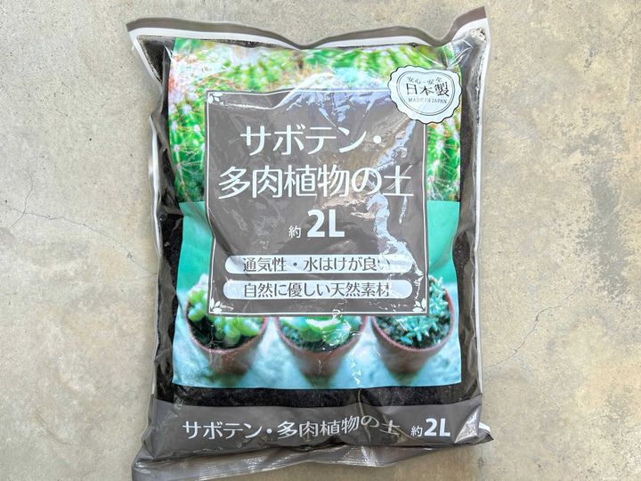 セリア 多肉植物 100均