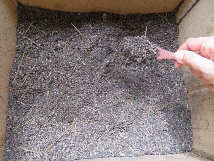 コンポストに入れて大丈夫?むしろ積極的に入れて成功したもの3