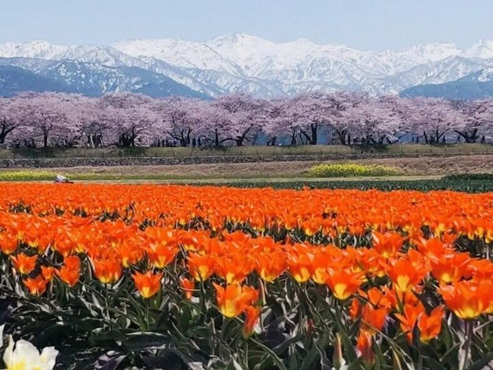 憧れの地方移住 田舎暮らしは最高 と 日々実感していること3つ サンキュ Style 憧れの地方移住 田舎暮らしは最高 と 日々実感していること3つ サンキュ Style