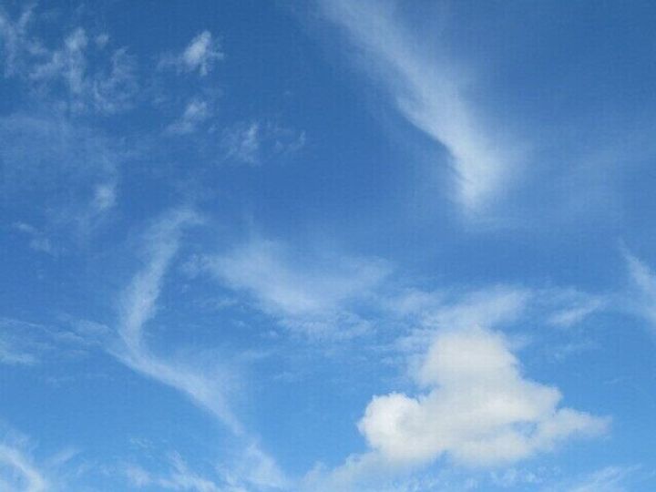 来年のことなんてわからないけど