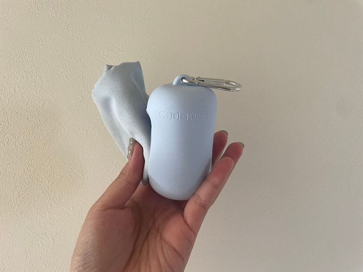 DAISO クールタオル 330円(税込)