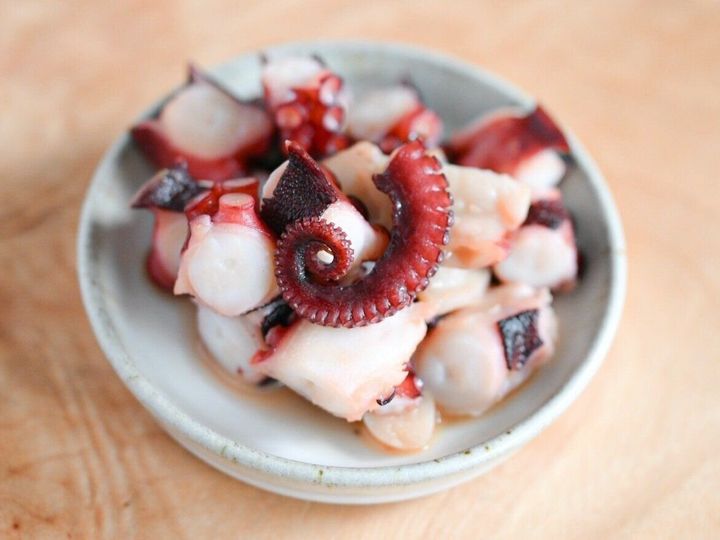タコの画像