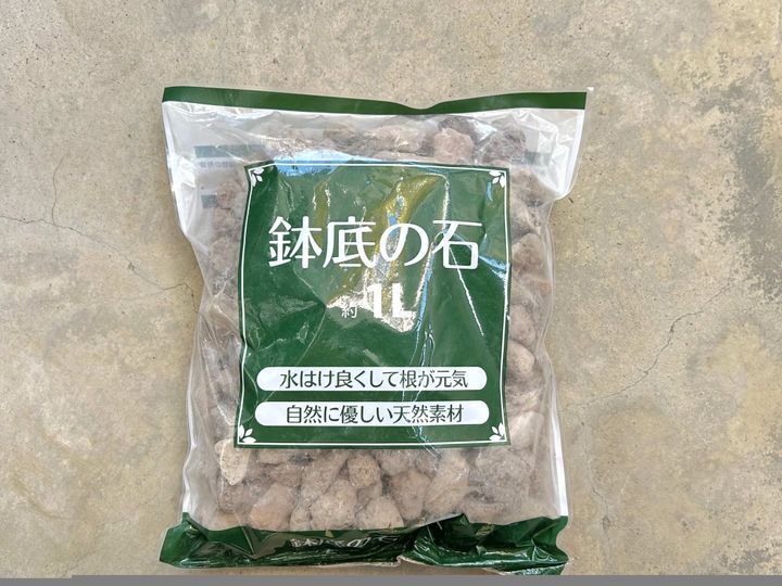 セリア 多肉植物 100均