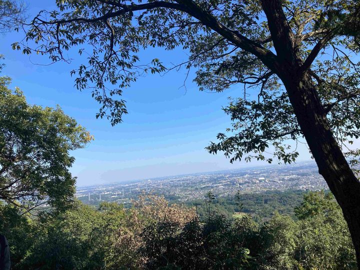 山からの絶景
