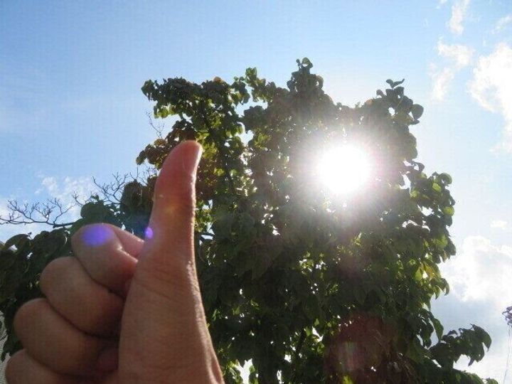 あえてやらない!早起き嫌いな主婦がやめた朝の家事3つ