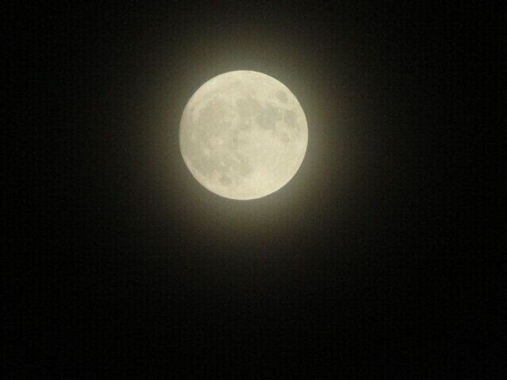 天体