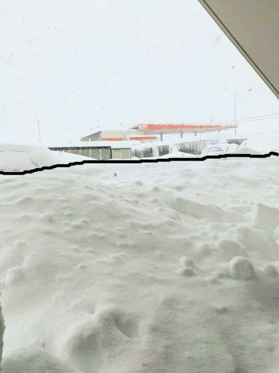 大雪で1メートルほど積もっている様子