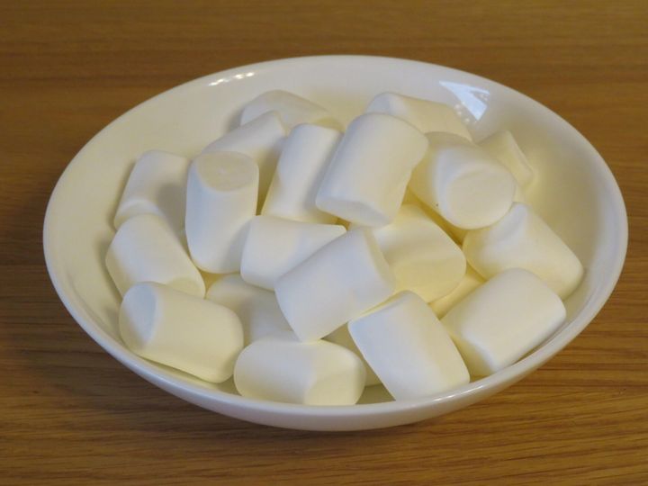 ゼラチン品切れ ゼリーを他の材料で作ったらどうなる サンキュ Style ゼラチン品切れ ゼリーを他の材料で作ったらどうなる サンキュ Style