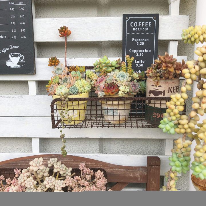 100円ショップのアイテムを活用する
