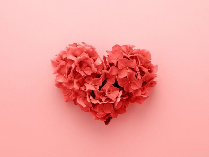 志望動機は「サンキュ!が好き」から始まったダメダメ主婦がライター活動でレベルアップに成功できました