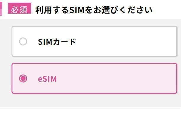 乗り換えはオンラインで完了&eSIMなら即日開通