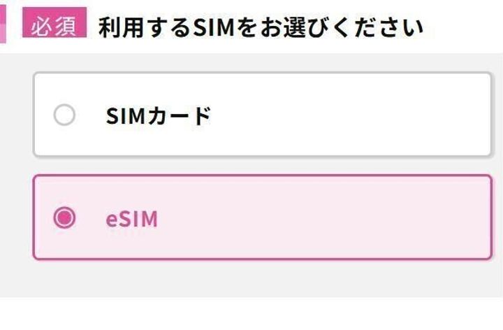 乗り換えはオンラインで完了&eSIMなら即日開通