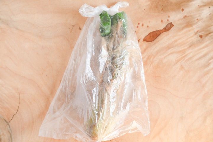 チンゲン菜の保存