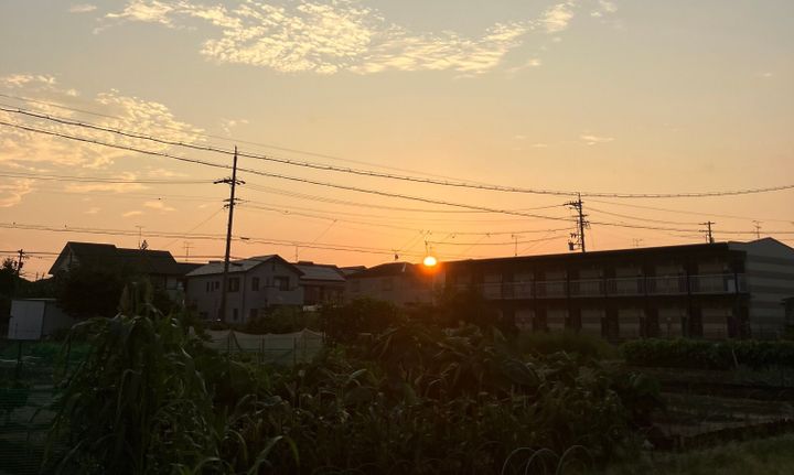 朝日