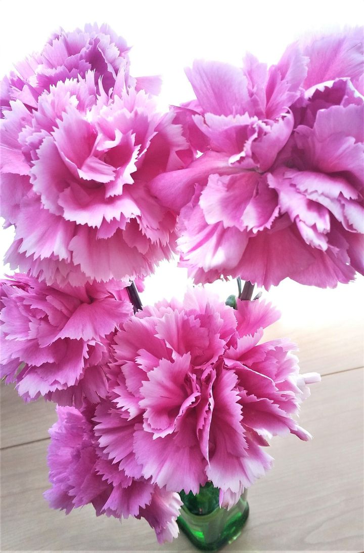 切り花を飾るなら がおすすめ ズボラさんでも長く楽しめる種類とは サンキュ Style 切り花を飾るなら がおすすめ ズボラさんでも長く楽しめる種類とは サンキュ Style