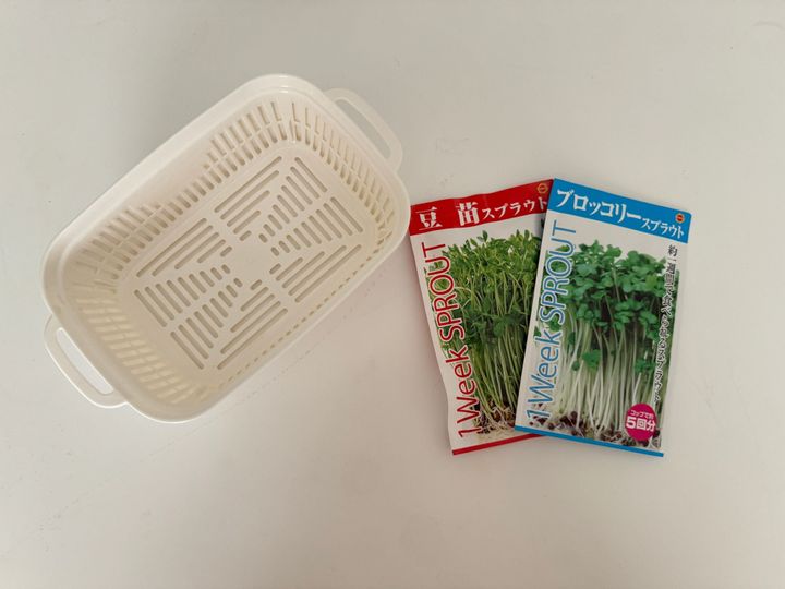 豆苗栽培キット