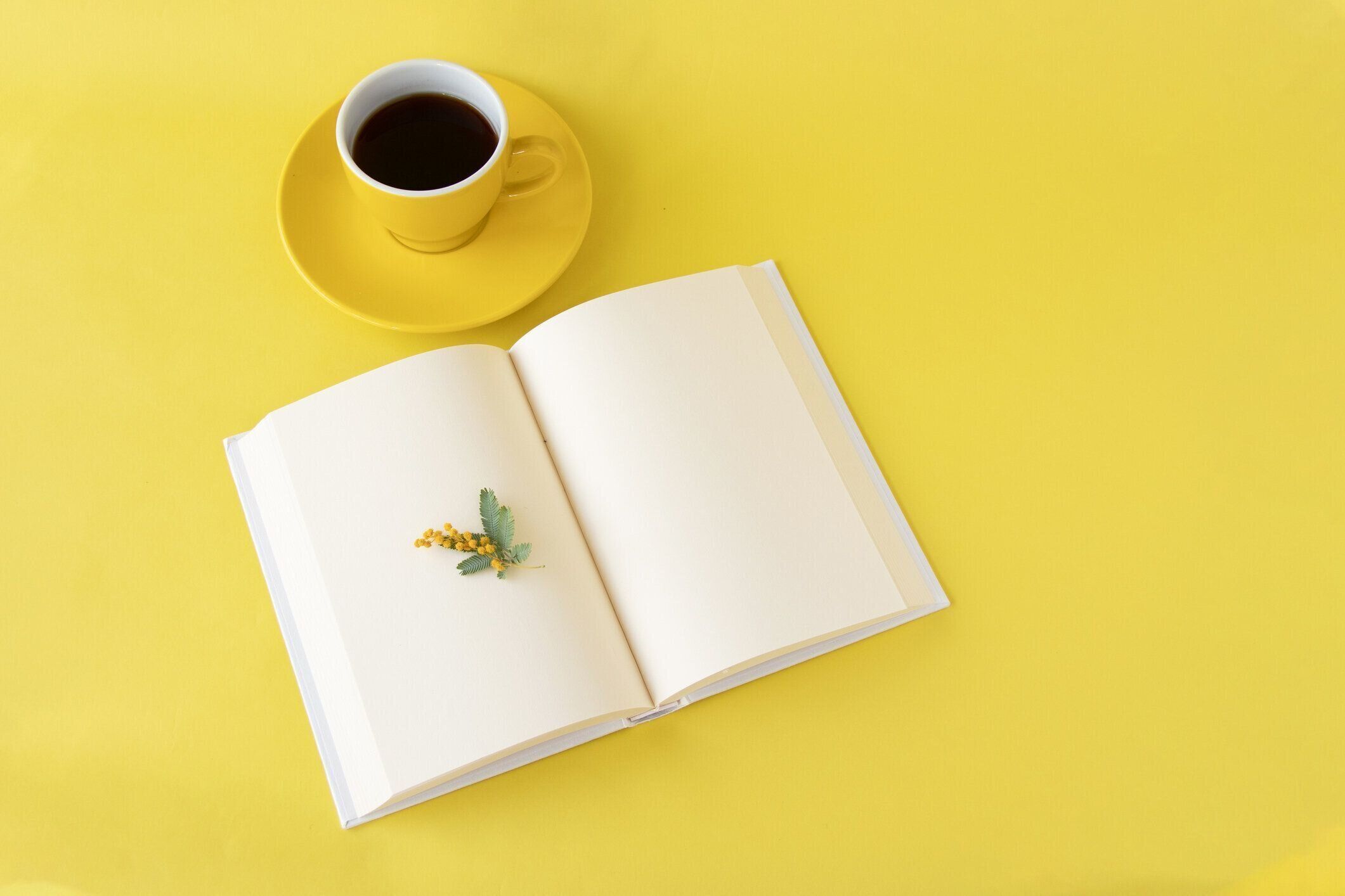 ミモザと本とコーヒー