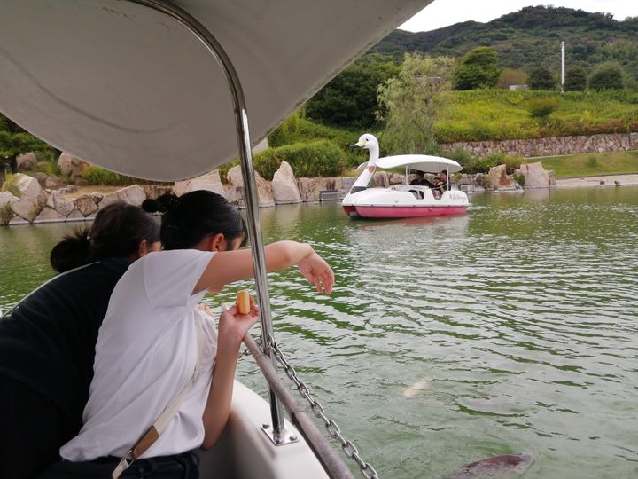 淡路島国営明石海峡公園スワンボート