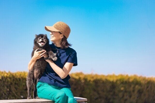 青空の下ベンチに座る女性と犬