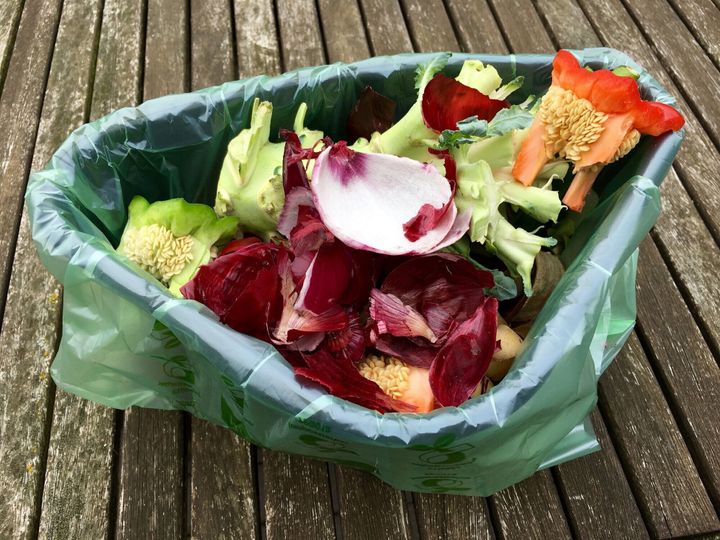 小さなプラスチックのカップの新鮮なバイオ廃棄物