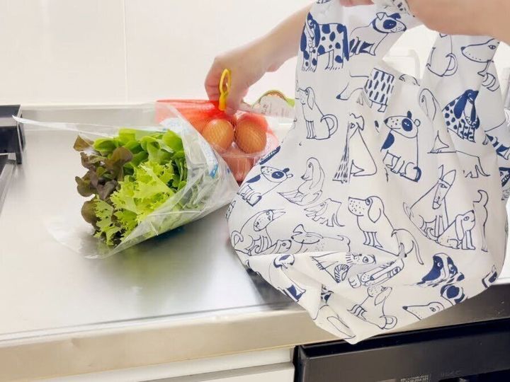 エコバッグから食材を取り出す