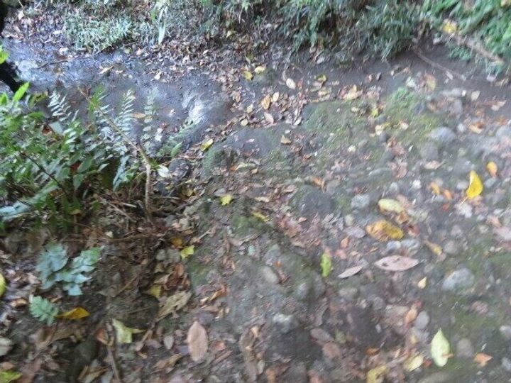 岩だらけの道