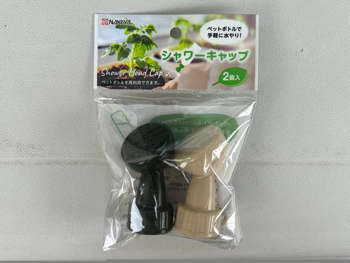 多肉植物 初心者 100均 セリア