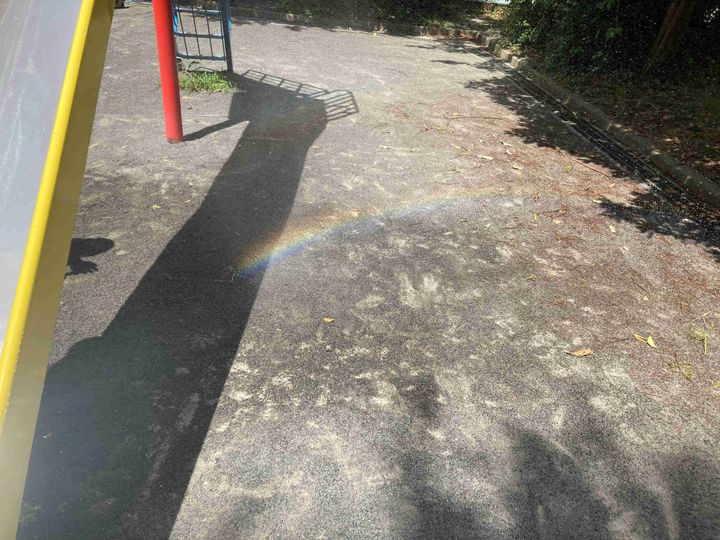 写真を撮る