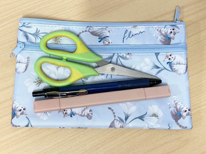 セリアふでばこかわいいねこ