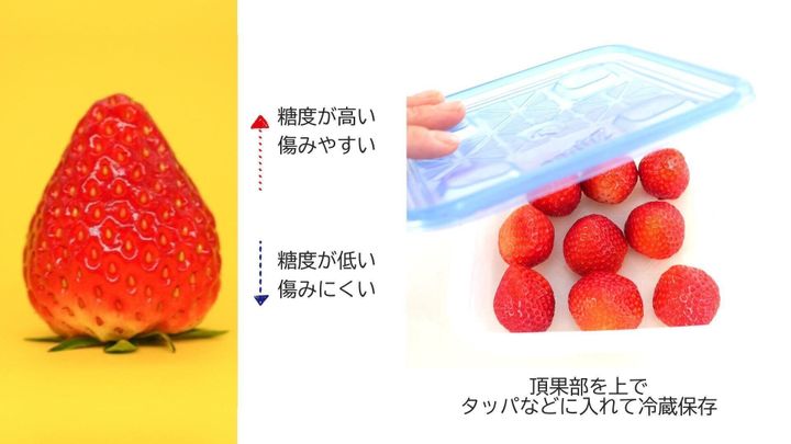 いちご