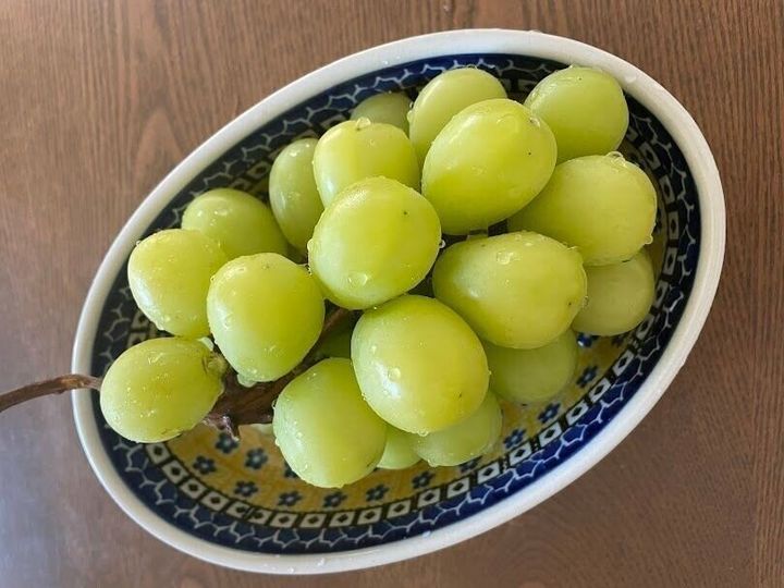 結局シャインマスカットをたくさん食べられた!