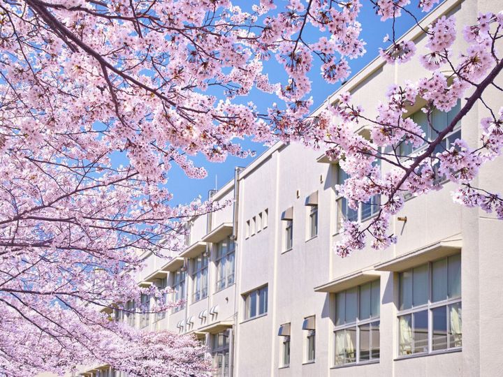 日本の春