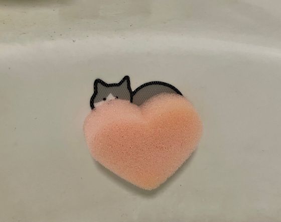 スポンジキャッチ使用例