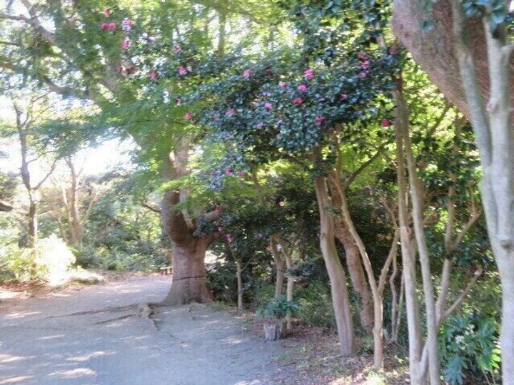 源氏山公園(げんじやまこうえん)