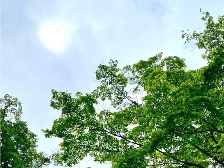 不登校