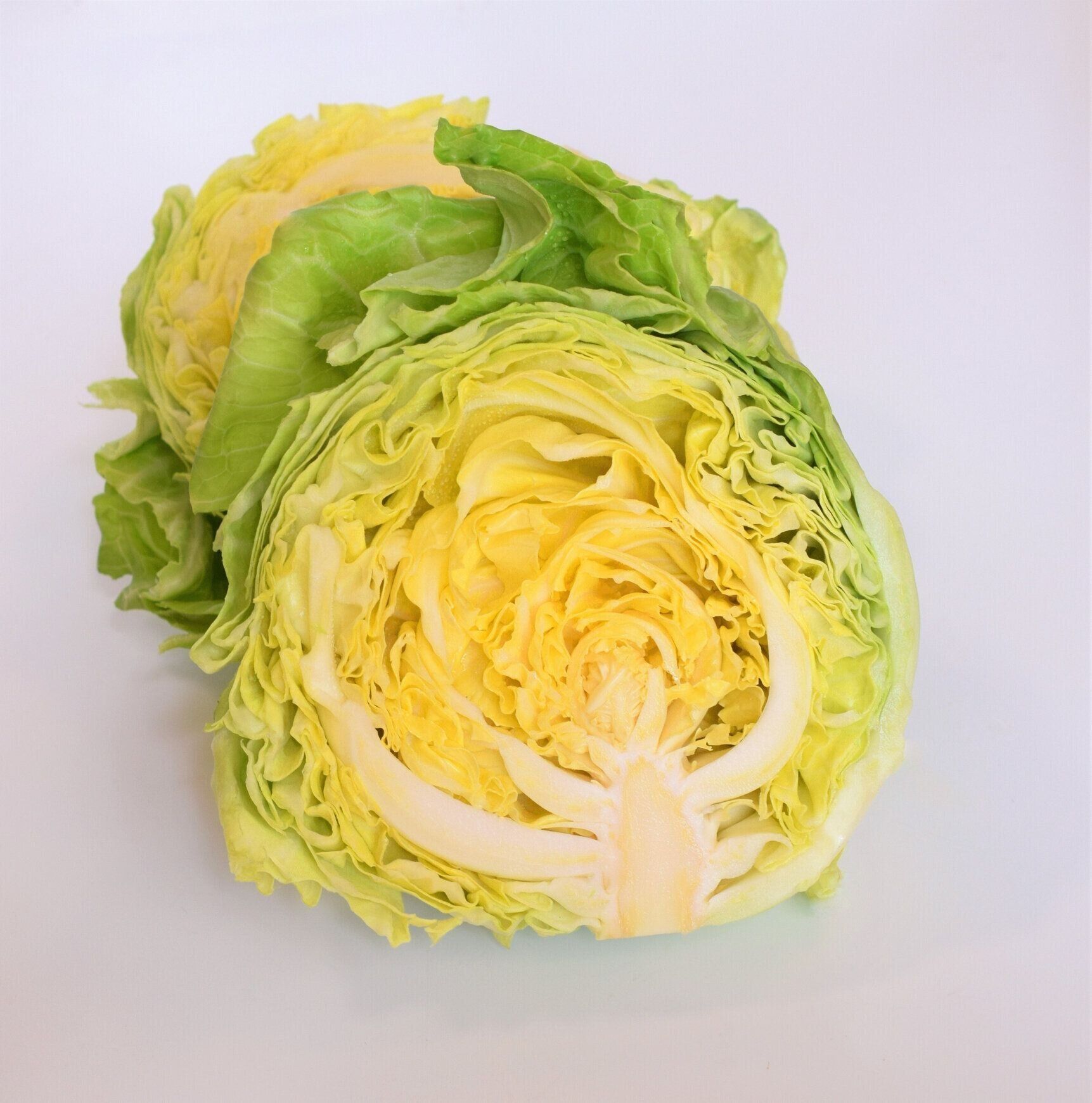 テーブルの上の新鮮な春キャベツ。