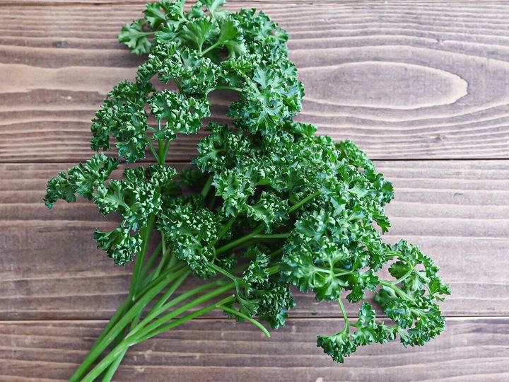 テーブルの上のパセリ