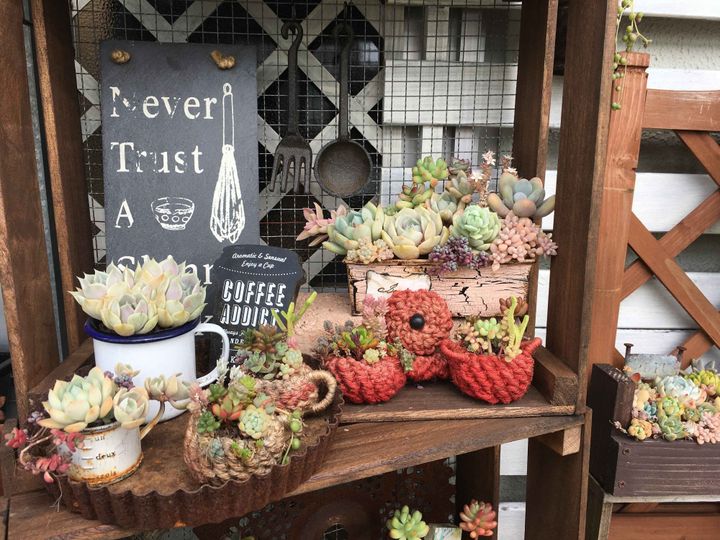 狭くてもできる!団地&賃貸のベランダで楽しむ多肉植物ガーデニングアイデア