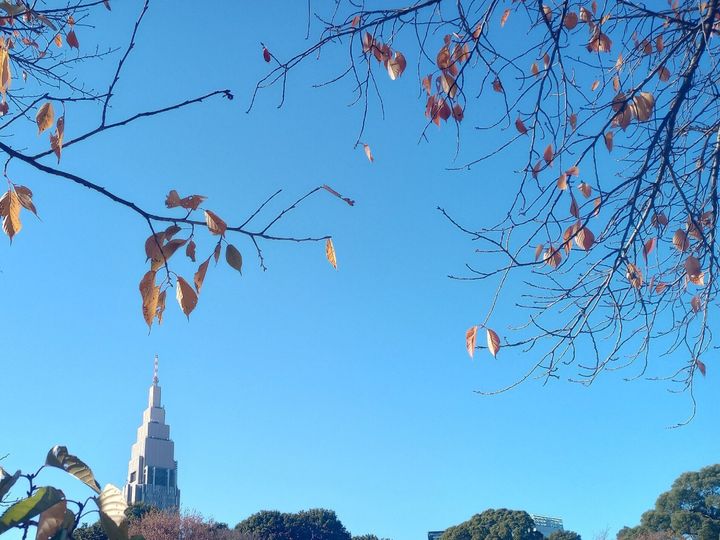 冬の青空