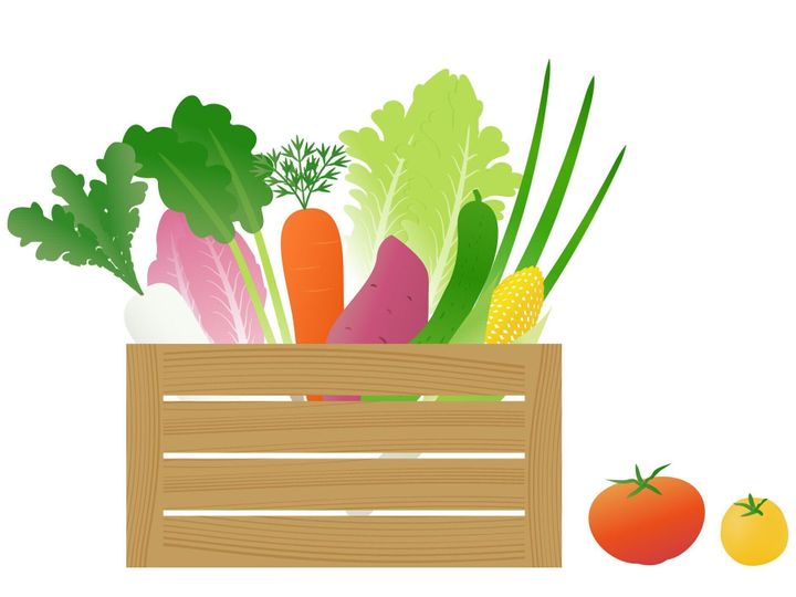 グラデーションカラーが美しい夏野菜のイラストセット。背景は透明です。